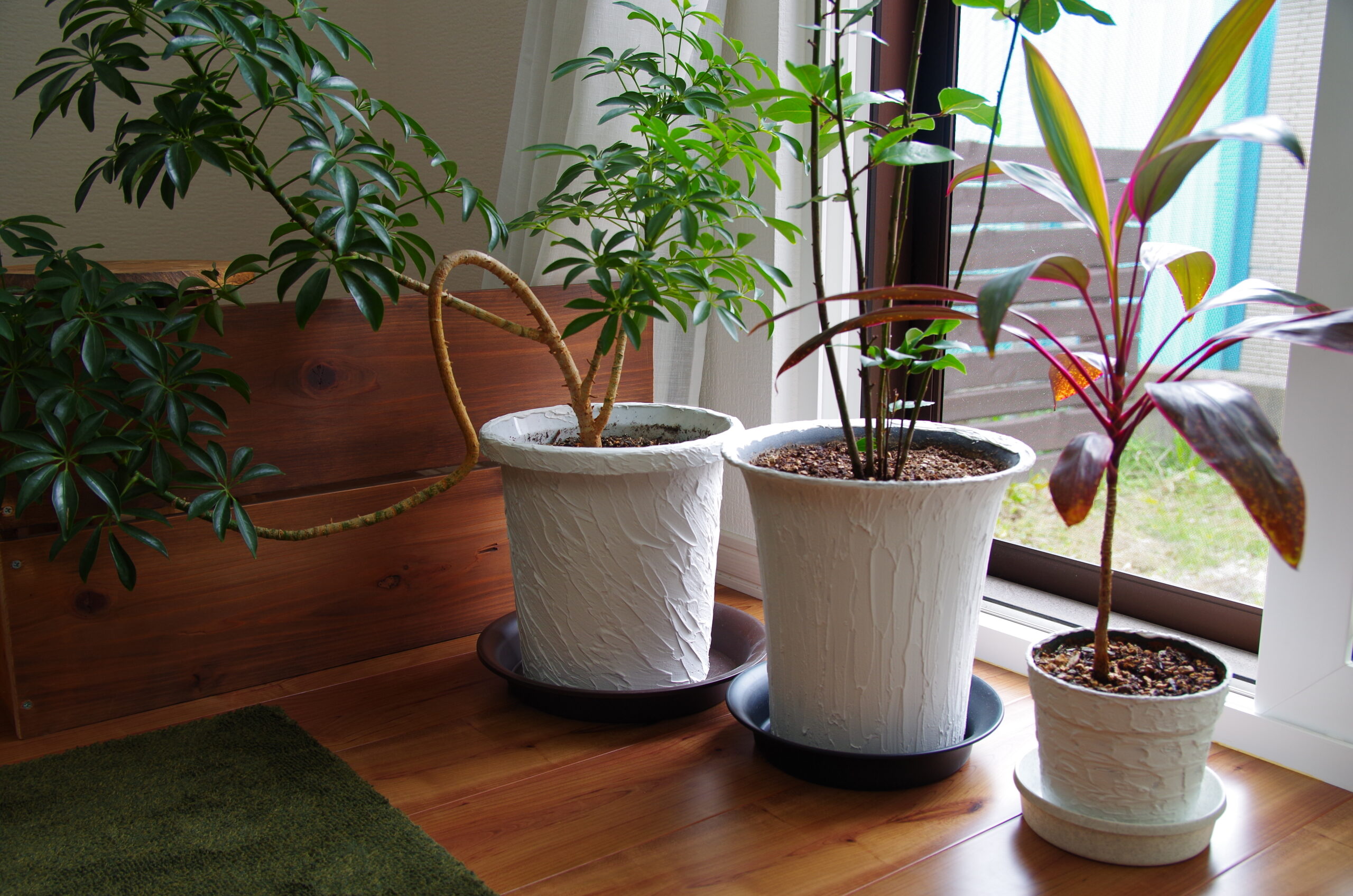 Diy 観葉植物の鉢を漆喰風にリメイク デコボコベース とーちゃんのメモブログ